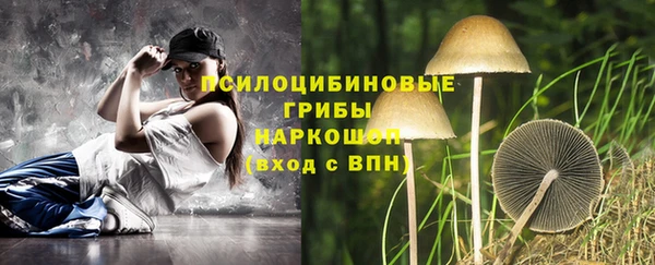 МДПВ Бородино