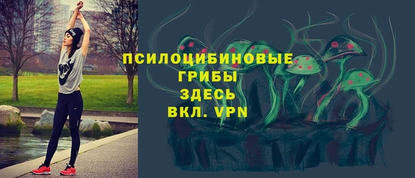 стафф Верея