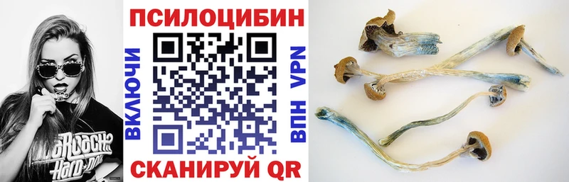 Псилоцибиновые грибы GOLDEN TEACHER  Дудинка 
